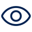 Vision Icon